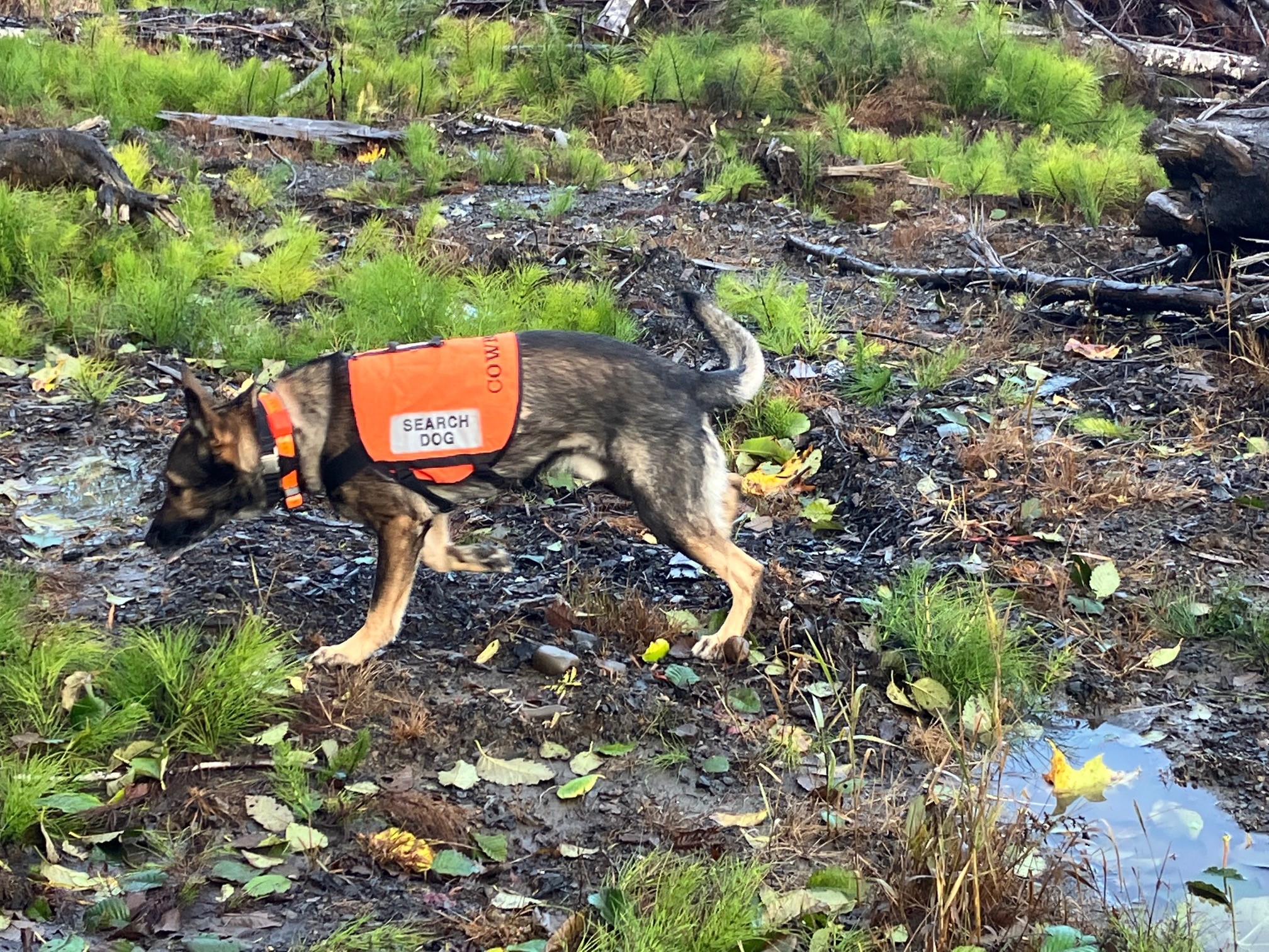 Pacific County Emergency Management Agency – Serving all of Pacific County